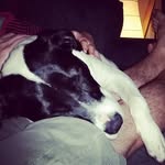 Dave Bryce - @dg_1205 - Instagram