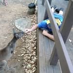 Dave Bryce - @davebryce9088 - Instagram