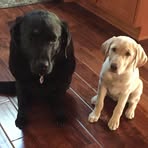 Dave Buckwalter - Facebook