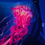 Dave Burroughs - @dave.burroughs757 - Instagram
