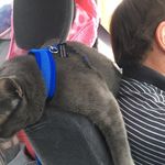 Dave Burroughs - @dave.burroughs.5 - Instagram
