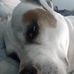 Dave Caddick - Facebook