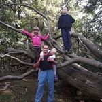 David Caddick - @davetracekids - Instagram