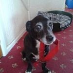 David Caddick - @david.caddick - Instagram