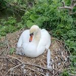 David Caddick - @davidcaddick48 - Instagram