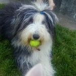 Dave Calvert - @calvert_dave - Instagram