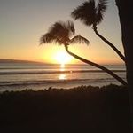 Dave Calvert - @david.calvert.140 - Instagram