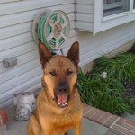 Dave Canfield - @davegopackers - Instagram
