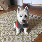 Dave Canfield - @dave.canfield2112 - Instagram