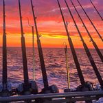 Dave Canfield - @dave.canfield - Instagram