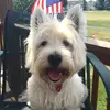 davecanfield731 - @davecanfield731 - TikTok