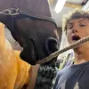 David Canfield - @purple.ronster - TikTok