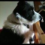 @davecannon - Instagram