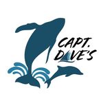 Capt Dave's Whale Watching - @captdaveswhalewatching - Instagram