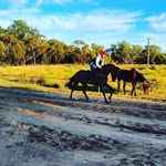 Dave Caruana - @caruana_dave - Instagram