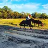 davecaruana84 - @davecaruana84 - TikTok