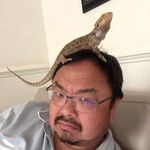 Dave Chen - @dave.chen - Instagram