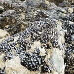 Dave Chester - @discodavidchester - Instagram