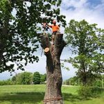 Dave Cochrane - @dave.cochrane.2654 - Instagram