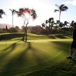 Dave Collier - @davecollier39 - Instagram