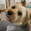 Dave Conner - @dave.conner1 - TikTok