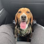 Dave Contreras - @dave.c0ntreras - Instagram