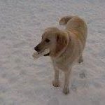 Dave Conway - @dave.conway.1044 - Instagram