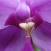 Dave Cooley - Facebook