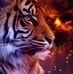 David Cooley - Facebook
