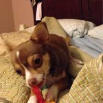 Dave Corbett - @dave3395 - Instagram