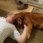 Dave Corcoran - @corcorandave - Instagram