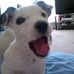 Dave Corcoran - Facebook