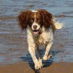 Dave Corkish - @davecorkish - Instagram