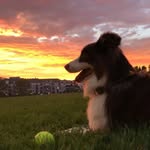 Dave Cornell - @davecornell60 - Instagram