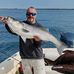 David Corrigan - Facebook