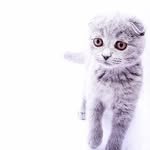 Dave Coulter - @tiowenkasab530 - Instagram