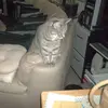 davecoulter525 - @davecoulter525 - TikTok