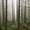 davecrabtree106 - @davecrabtree106 - TikTok