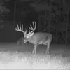 David Crabtree - @davidcrabtree3 - TikTok