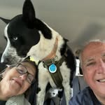 Dave Crouch - @dave.crouch - Instagram