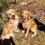 Dave Crum - @davecrum9 - Instagram