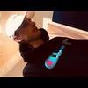 Dave Daly - @davedaly1 - TikTok