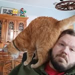 Dave Damm - @dave.damm - Instagram