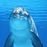 David Dauphin - @dd13430 - Instagram