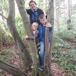 David Dauphin - @david.dauphin.351 - Instagram