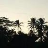 Dave Dayondon - @dave.dayondon - TikTok