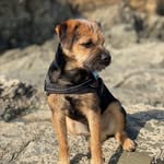 Dave Dean - @dave_deantheborder - Instagram