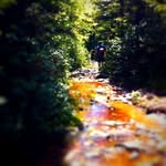 Dave Denny - @davebdenny99 - Instagram