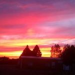 Dave Denton - @dave.denton.18 - Instagram