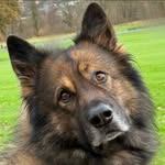 Dave Denton - @davedenton68 - Instagram
